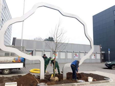 Von Hand wurde das Pflanzloch für den neuen Apfelbaum im Herzen des Kunstwerks "Später sein wird" von den Mitarbeitern der Firma Pöhler aus Bad Driburg gegraben, bevor der Baum behutsam ausgerichtet und eingepflanzt wurde.Foto:© Stadt Paderborn