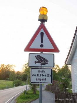 Symbolbild-Amphibienwanderung-Schilder