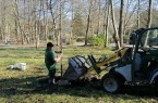 Stellen die professionelle Anpflanzung der neuen Sumpfeiche sicher: Mitarbeiter des beauftragten Unternehmens "Verler Gartenbau"..Foto:Stadt Gütersloh