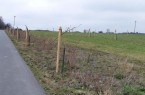 Die noch jungen Obstbäume an der Husener Straße zwischen Knickweg und Flugplatz Haxterberg wurden komplett zerstört.Foto: © Stadt Paderborn