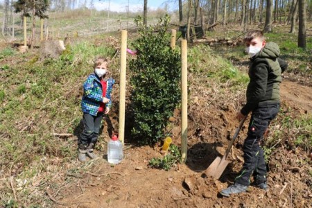  (V.li.) Anakin (7) und Raphael (9) von der OGS Lügde präsentieren stolz den Baum des Jahres: die europäische Stechpalme. 