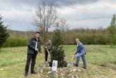 Baumpflanzung im Arboretum oberhalb des Haxtergrunds (v. l.): Der neue Leiter des Gemeindeforstamtes Willebadessen Nikolas Osburg, Toni Wiethaup vom städtischen Amt für Umweltschutz und Grünflächen fort und Bürgermeister Michael Dreier.Foto:© Stadt Paderborn