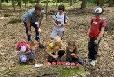 Im Wald gab es viel zu entdecken. Foto: ©Stadt Rheda-Wiedenbrück