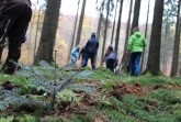 Bereits zum vierten Mal können Kinder und Jugendliche im Kreis Höxter beim Projekt „Plants for the Planet“ mitmachen. In diesem Jahr sollen am 20. November auf dem Ellerberg bei Lütmarsen junge Bäume gepflanzt werden. Anmeldungen sind ab sofort möglich. Foto: Kreis Höxter