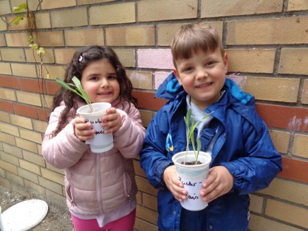 Spielerisch entdecken: Rahel (l.) und Samuel aus der städtischen Kita Bülowstraße freuten sich über ihre Maispflanzen.Foto: Stadt Gütersloh 