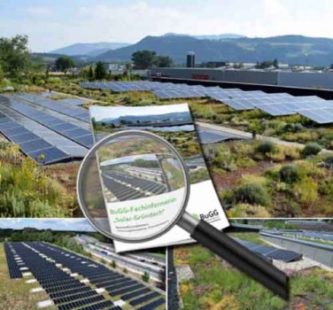 Foto: Titelbild Broschüre Solar-Gründach