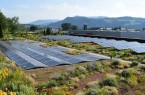 Solar-Gründach - Quellenangabe: Bundesverband GebäudeGrün