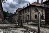 Auschwitz_Bild-von-Peter-Tóth-auf-Pixabay-