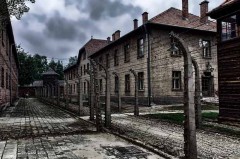 Auschwitz_Bild-von-Peter-Tóth-auf-Pixabay-