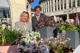 Dr. med. Wencke Ruhwedel (Klinikum Gütersloh) und Dr. Johannes Middelanis (Sankt Elisabeth Hospital) leiten gemeinsam das Kooperative Brustzentrum Gütersloh und machen mit dem pinken Blumenbeet zum Gütersloher Frühling auf die verbesserten Heilungschancen bei Brustkrebs aufmerksam. Foto: Klinikum Gütersloh
