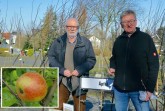 Übergabe von Edelreiser der Apfelsorte Fürst Lippe durch Willi Hennebrüder vom BUND Lemgo an den Inhaber der Detmolder Baumschule Krämer Maik Kornalewski.Foto BUND Lemgo