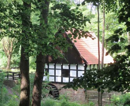Foto (Hanna Dose): Hofwassermühle im Siekertal