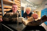 Dr. Mark Keiter (rechts) vom Naturkunde-Museum und Jan-Marvin Keilig von den Stadtwerken Bielefeld zeigen den Teil eines Höhlenbär Schädels und Zähne des Fischsauriers Temnodontosaurus. Empfindliche Exponate wie diese können durch die Sensoren (Mitte) besser geschützt werden. Foto: Sebastian Bauer/Stadtwerke Bielefeld