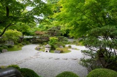 Japanischer-Garten_Bielefeld-Bethel (Symbolbild) Foto: Jürgen Riedel