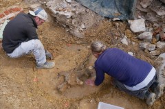 Das Grabungsteam legt die fragilen Skelettreste des Ebers und eines Amphorenfußes frei. © EggensteinExca/Granzin