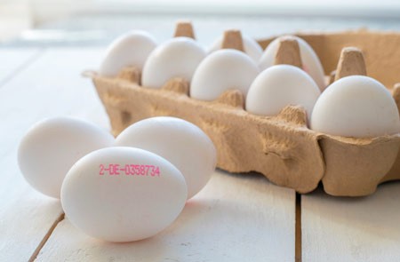 Die aufgestempelte Nummer auf dem Ei schafft bei den Menschen in Bielefeld mehr Klarheit beim Einkauf über Erzeugerland und Haltungsform. Foto: AOK/hfr.