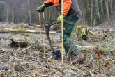 Ein Forstwirt pflanzt einen Setzling in einem Zukunftswald, für eine grüne Zukunft in Lippe. © Landesverband Lippe