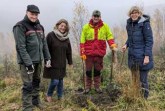 Pflanzten gemeinsam Wildobst am Kaiser-Wilhelm-Weg (v.l.): Volker Reihl (Leiter des Forstreviers Hiddesen, Landesverband Lippe), Dörte Pieper (Geschäftsführerin Naturpark Teutoburger Wald / Eggegebirge), Roman Elias (Forstwirt Landesverband Lippe) und Heike Hermann (Naturpark Teutoburger Wald / Eggegebirge). (Fotos: LVL)