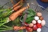 Garten_Guse Foto: Privat