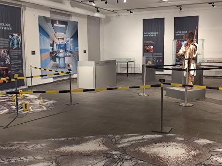 Blick in die Ausstellung © Mindener Museum