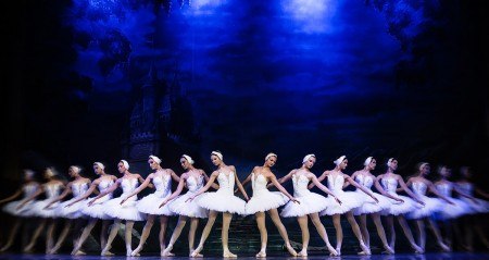 Schwanensee2 © AgendaProduction