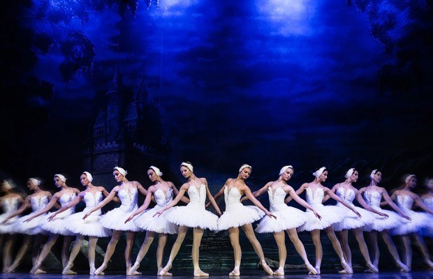 Schwanensee2 © AgendaProduction