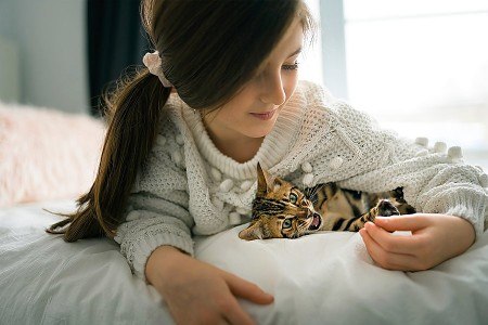 Wenn die Katze mit den spitzen Zähnen zubeißt, gelangen gefährliche Er- reger vom Speichel in die Blutbahn, dadurch ist das Infektionsrisiko bei Katzen- bissen höher als bei Hundebissen. Foto: AOK/colourbox/hfr.