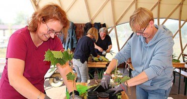 Bei den Gartenkursen lernen die Teilnehmenden in den großen Rundzelten im Archäologiepark Höxter zum Beispiel, wie man Pflanzen vermehrt, Rosen pflegt oder Gehölze schneidet. Foto: Huxarium Gartenpark Höxter