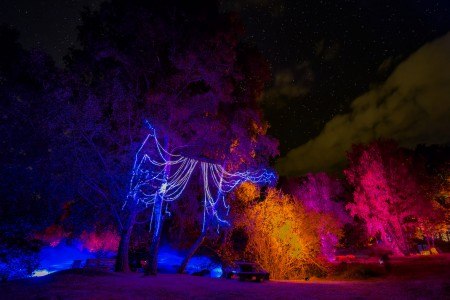 Fotos "blockheide leuchtet": @Joanna Pianka