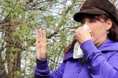Jetzt beginnt wieder die Leidenszeit für Allergiker in Bielefeld. Mit den derzeit steigenden Temperaturen fliegen bereits die ersten Pollen. Foto: AOK/Colourbox/hfr.