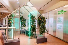 Das Gewächshaus, aber auch Holztische und Sitzgelegenheiten sind abzugeben. Foto: LWL/ B. Mazhiqi