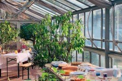 Auch dieses Jahr gibt es wieder Pflanzen aus dem Botanischen Garten und viel leckere Kuchen und nette Gespräche im Gewächshauscafe. Foto: Ute Aland