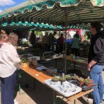 Copyright Tausendsassa Jungpflanzen & mehr; Ralf Kleine Klatte, Finja Thesen, Christian Becker, erster Jungpflanzenmarkt 2025 auf dem Biohof Meyer-Arend