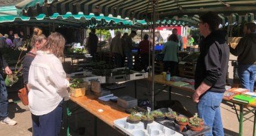 Copyright Tausendsassa Jungpflanzen & mehr; Ralf Kleine Klatte, Finja Thesen, Christian Becker, erster Jungpflanzenmarkt 2025 auf dem Biohof Meyer-Arend