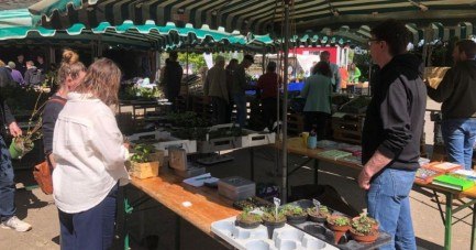 Copyright Tausendsassa Jungpflanzen & mehr; Ralf Kleine Klatte, Finja Thesen, Christian Becker, erster Jungpflanzenmarkt 2025 auf dem Biohof Meyer-Arend