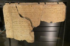 Drei Fragmente eines seltenen mittelalterlichen jüdischen Grabsteins aus dem 14. Jahrhundert aus Minden sind aktuell im Museumsquartier Osnabrück zu sehen (© Mindener Museum).