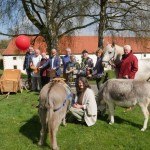 Tatkräftige Vorfreude: (v. l.) Hennes Andree (Stellmacherei), Willi Zacharias (Bäckerei), Hermann Zinser (Brennerei), Dr. Ingo Grabowsky (Museumsdirektor), Elmar Kämper (Mühle), Roswitha Neumann (Weberei), Werner Gerke (Schmiede), Dr. Christiane Wabinski (Referentin Kulturvermittlung), Erwin Borkenhagen (Norikergestüt Borkenhagen) und Elisabeth Bömken stellen beim Pressetermin zum Familientag "Et labora! Handwerk im Kloster" im LWL-Landesmuseum für Klosterkultur ihre Gewerke und Mitmachstationen vor. Mit dabei waren auch die eigensinnigen Eseldamen Rosalie und Lotte. Foto: LWL/Dana Giebken