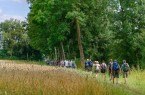 Ab April können sich Wanderinteressierte zu geführten Touren durch alle 13 Kommunen im Kreis Gütersloh anmelden und dort sehenswerte Strecken und spannende Naturräume kennenlernen. Foto: proWi GT / Mario Wallenfang