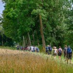 Ab April können sich Wanderinteressierte zu geführten Touren durch alle 13 Kommunen im Kreis Gütersloh anmelden und dort sehenswerte Strecken und spannende Naturräume kennenlernen. Foto: proWi GT / Mario Wallenfang