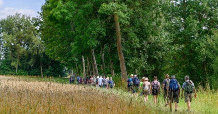 Ab April können sich Wanderinteressierte zu geführten Touren durch alle 13 Kommunen im Kreis Gütersloh anmelden und dort sehenswerte Strecken und spannende Naturräume kennenlernen. Foto: proWi GT / Mario Wallenfang