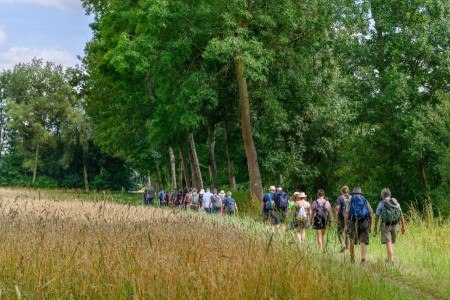 Ab April können sich Wanderinteressierte zu geführten Touren durch alle 13 Kommunen im Kreis Gütersloh anmelden und dort sehenswerte Strecken und spannende Naturräume kennenlernen. Foto: proWi GT / Mario Wallenfang