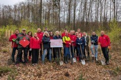 Das Pflanzen der Douglasien hat den Vertretern der AÜG Netzwerk GmbH, der Sparkasse Paderborn-Detmold-Höxter und des Landesverbandes Lippe sehr viel Spaß gemacht. Fotos: LVL