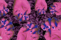 Filmfestival DMX FOR REEL findet am 26. April 2026 im Lichtwerk Kino in Bielefeld statt. (Foto: Luisa Koch)