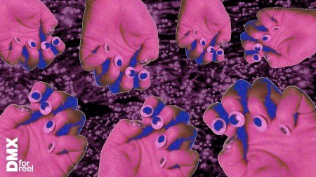 Filmfestival DMX FOR REEL findet am 26. April 2026 im Lichtwerk Kino in Bielefeld statt. (Foto: Luisa Koch)