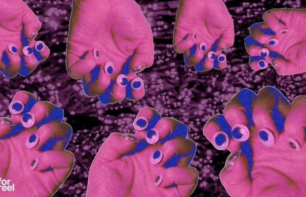 Filmfestival DMX FOR REEL findet am 26. April 2026 im Lichtwerk Kino in Bielefeld statt. (Foto: Luisa Koch)