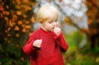 Häufiger Beratungsbedarf bei Säuglingen und Kleinkindern: Von außen ist es ihnen nicht anzusehen, aber einige heimische Gartenpflanzen, wie zum Beispiel die Eibe oder der Kirschlorbeer, sind giftig. Foto: AOK/colourbox/hfr.