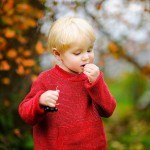 Häufiger Beratungsbedarf bei Säuglingen und Kleinkindern: Von außen ist es ihnen nicht anzusehen, aber einige heimische Gartenpflanzen, wie zum Beispiel die Eibe oder der Kirschlorbeer, sind giftig. Foto: AOK/colourbox/hfr.