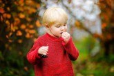 Häufiger Beratungsbedarf bei Säuglingen und Kleinkindern: Von außen ist es ihnen nicht anzusehen, aber einige heimische Gartenpflanzen, wie zum Beispiel die Eibe oder der Kirschlorbeer, sind giftig. Foto: AOK/colourbox/hfr.