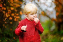 Häufiger Beratungsbedarf bei Säuglingen und Kleinkindern: Von außen ist es ihnen nicht anzusehen, aber einige heimische Gartenpflanzen, wie zum Beispiel die Eibe oder der Kirschlorbeer, sind giftig. Foto: AOK/colourbox/hfr.