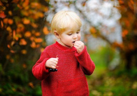 Häufiger Beratungsbedarf bei Säuglingen und Kleinkindern: Von außen ist es ihnen nicht anzusehen, aber einige heimische Gartenpflanzen, wie zum Beispiel die Eibe oder der Kirschlorbeer, sind giftig. Foto: AOK/colourbox/hfr.